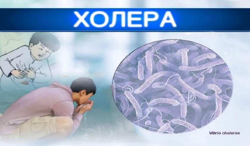 Як запобігти захворюванню на холеру детская больница запорожье КНП «Міська дитяча лікарня №5» ЗМР – це єдина у місті Запоріжжі багатопрофільна дитяча лікарня, де сконцентровано всі види надання спеціалізованої медичної допомоги дитячому населенню: стаціонарної, консультативної амбулаторно-поліклінічної та виїзної для інтенсивної терапії новонародженим.
