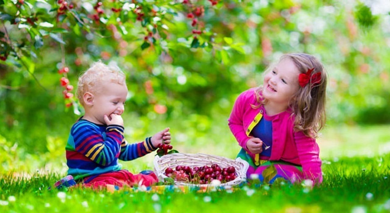 Небезпека влітку: гострі кишкові інфекції детская больница запорожье КНП «Міська дитяча лікарня №5» ЗМР – це єдина у місті Запоріжжі багатопрофільна дитяча лікарня, де сконцентровано всі види надання спеціалізованої медичної допомоги дитячому населенню: стаціонарної, консультативної амбулаторно-поліклінічної та виїзної для інтенсивної терапії новонародженим.