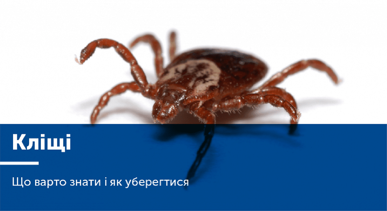 Як уберегтися від кліщів детская больница запорожье КНП «Міська дитяча лікарня №5» ЗМР – це єдина у місті Запоріжжі багатопрофільна дитяча лікарня, де сконцентровано всі види надання спеціалізованої медичної допомоги дитячому населенню: стаціонарної, консультативної амбулаторно-поліклінічної та виїзної для інтенсивної терапії новонародженим.