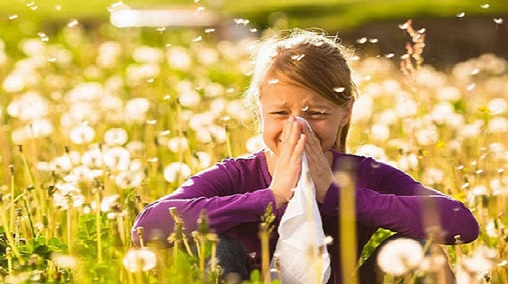 8 липня - Всесвітній день боротьби з алергією детская больница запорожье КНП «Міська дитяча лікарня №5» ЗМР – це єдина у місті Запоріжжі багатопрофільна дитяча лікарня, де сконцентровано всі види надання спеціалізованої медичної допомоги дитячому населенню: стаціонарної, консультативної амбулаторно-поліклінічної та виїзної для інтенсивної терапії новонародженим.