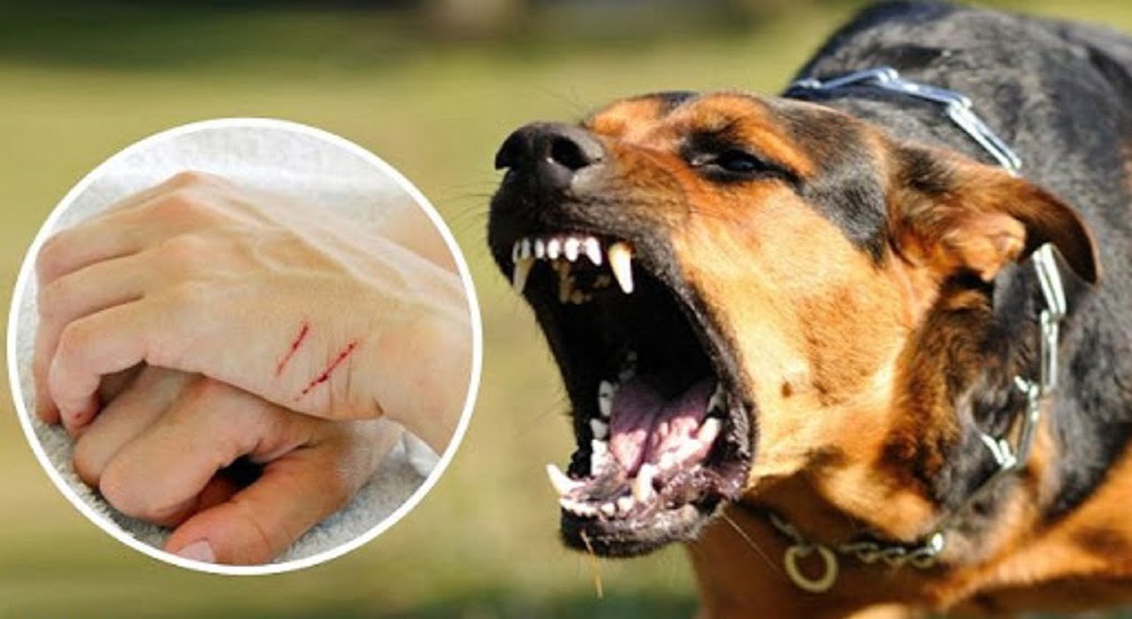 Сказ: що варто знати і як уберегтися детская больница запорожье КНП «Міська дитяча лікарня №5» ЗМР – це єдина у місті Запоріжжі багатопрофільна дитяча лікарня, де сконцентровано всі види надання спеціалізованої медичної допомоги дитячому населенню: стаціонарної, консультативної амбулаторно-поліклінічної та виїзної для інтенсивної терапії новонародженим.