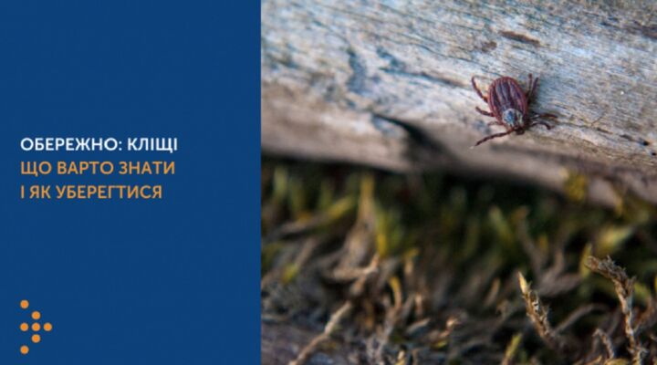 Обережно: кліщі детская больница запорожье КНП «Міська дитяча лікарня №5» ЗМР – це єдина у місті Запоріжжі багатопрофільна дитяча лікарня, де сконцентровано всі види надання спеціалізованої медичної допомоги дитячому населенню: стаціонарної, консультативної амбулаторно-поліклінічної та виїзної для інтенсивної терапії новонародженим.