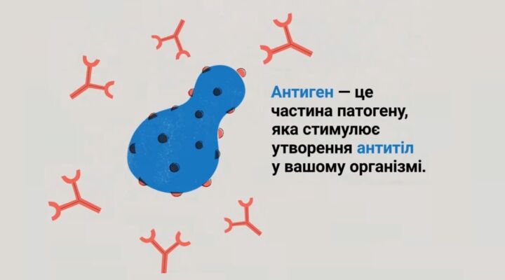 Основи вакцинації: патоген, антиген та антитіла детская больница запорожье КНП «Міська дитяча лікарня №5» ЗМР – це єдина у місті Запоріжжі багатопрофільна дитяча лікарня, де сконцентровано всі види надання спеціалізованої медичної допомоги дитячому населенню: стаціонарної, консультативної амбулаторно-поліклінічної та виїзної для інтенсивної терапії новонародженим.