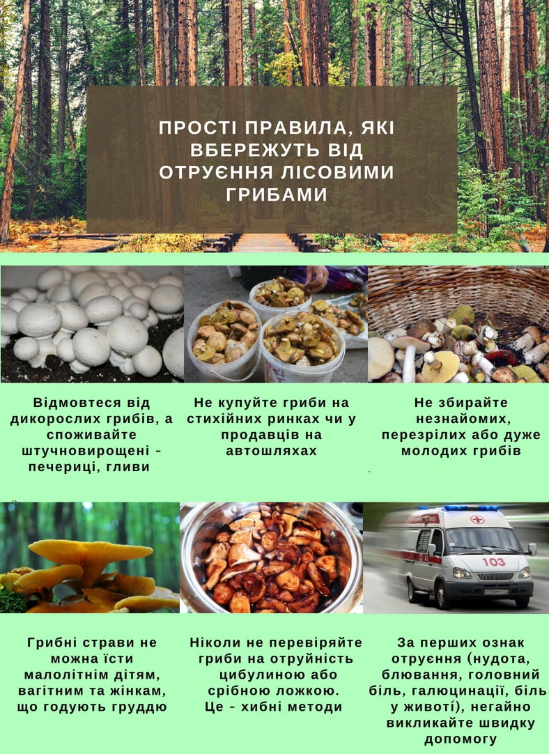 Гриби - не їжа для дітей детская больница запорожье КНП «Міська дитяча лікарня №5» ЗМР – це єдина у місті Запоріжжі багатопрофільна дитяча лікарня, де сконцентровано всі види надання спеціалізованої медичної допомоги дитячому населенню: стаціонарної, консультативної амбулаторно-поліклінічної та виїзної для інтенсивної терапії новонародженим.