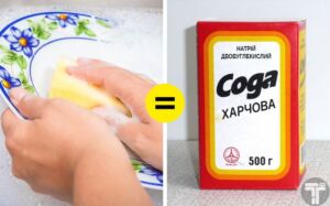 Засоби побутової хімії: чим замінити аби не шкодити здоров’ю детская больница запорожье КНП «Міська дитяча лікарня №5» ЗМР – це єдина у місті Запоріжжі багатопрофільна дитяча лікарня, де сконцентровано всі види надання спеціалізованої медичної допомоги дитячому населенню: стаціонарної, консультативної амбулаторно-поліклінічної та виїзної для інтенсивної терапії новонародженим.