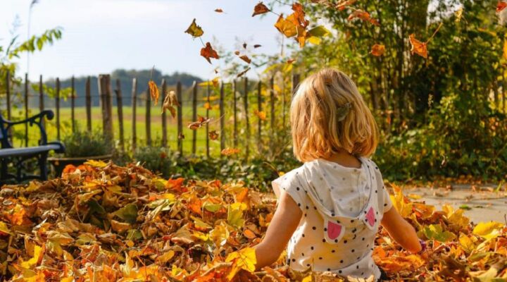Як забезпечити організм вітаміном D восени детская больница запорожье КНП «Міська дитяча лікарня №5» ЗМР – це єдина у місті Запоріжжі багатопрофільна дитяча лікарня, де сконцентровано всі види надання спеціалізованої медичної допомоги дитячому населенню: стаціонарної, консультативної амбулаторно-поліклінічної та виїзної для інтенсивної терапії новонародженим.