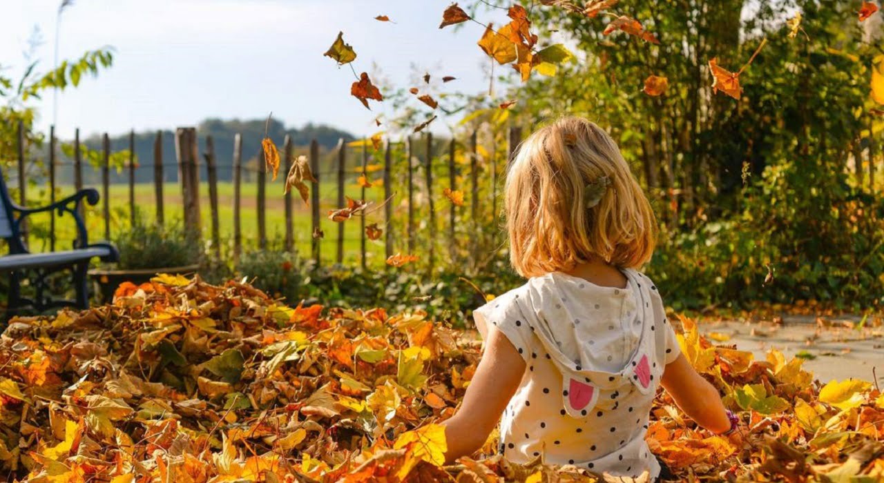 Як забезпечити організм вітаміном D восени детская больница запорожье КНП «Міська дитяча лікарня №5» ЗМР – це єдина у місті Запоріжжі багатопрофільна дитяча лікарня, де сконцентровано всі види надання спеціалізованої медичної допомоги дитячому населенню: стаціонарної, консультативної амбулаторно-поліклінічної та виїзної для інтенсивної терапії новонародженим.