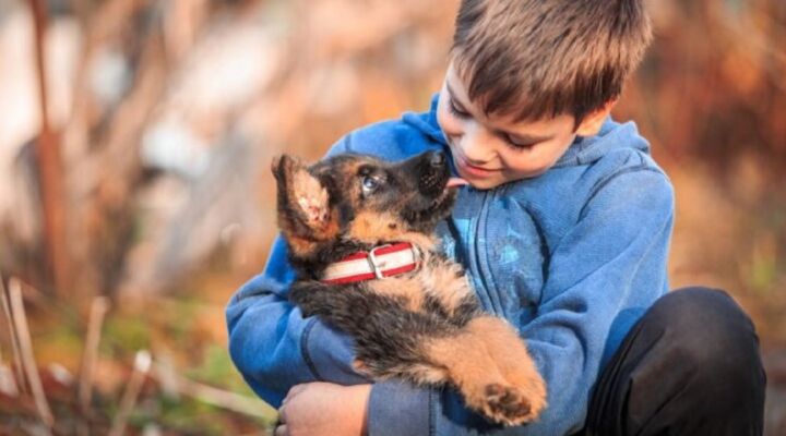 Що таке токсокароз детская больница запорожье КНП «Міська дитяча лікарня №5» ЗМР – це єдина у місті Запоріжжі багатопрофільна дитяча лікарня, де сконцентровано всі види надання спеціалізованої медичної допомоги дитячому населенню: стаціонарної, консультативної амбулаторно-поліклінічної та виїзної для інтенсивної терапії новонародженим.