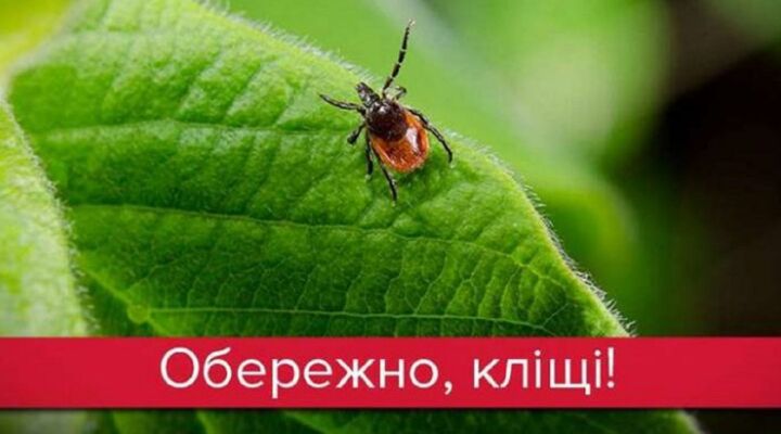 Як уберегтися від укусів кліщів детская больница запорожье КНП «Міська дитяча лікарня №5» ЗМР – це єдина у місті Запоріжжі багатопрофільна дитяча лікарня, де сконцентровано всі види надання спеціалізованої медичної допомоги дитячому населенню: стаціонарної, консультативної амбулаторно-поліклінічної та виїзної для інтенсивної терапії новонародженим.