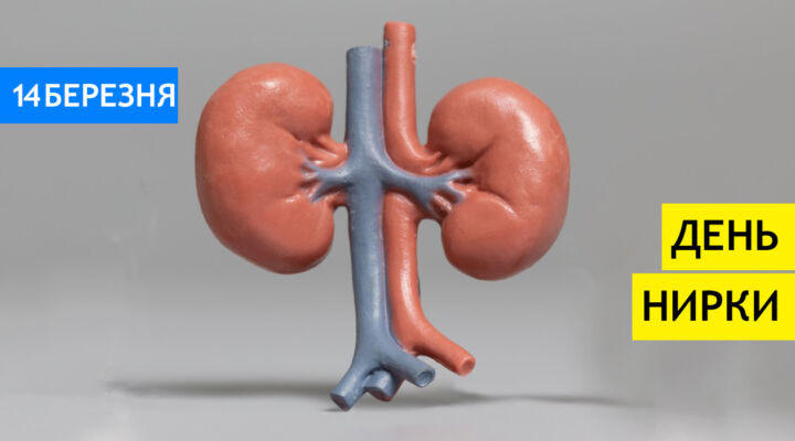 Як зберегти нирки здоровими детская больница запорожье КНП «Міська дитяча лікарня №5» ЗМР – це єдина у місті Запоріжжі багатопрофільна дитяча лікарня, де сконцентровано всі види надання спеціалізованої медичної допомоги дитячому населенню: стаціонарної, консультативної амбулаторно-поліклінічної та виїзної для інтенсивної терапії новонародженим.