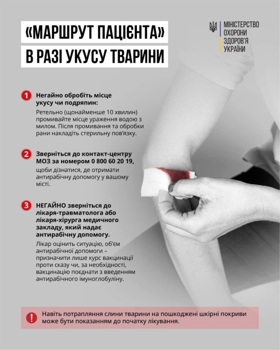 Медична допомога з метою уникнення сказу: в яких медзакладах надають антирабічну допомогу та як діяти пацієнтові? детская больница запорожье КНП «Міська дитяча лікарня №5» ЗМР – це єдина у місті Запоріжжі багатопрофільна дитяча лікарня, де сконцентровано всі види надання спеціалізованої медичної допомоги дитячому населенню: стаціонарної, консультативної амбулаторно-поліклінічної та виїзної для інтенсивної терапії новонародженим. Медична допомога з метою уникнення сказу: в яких медзакладах надають антирабічну допомогу та як діяти пацієнтові? детская больница запорожье КНП «Міська дитяча лікарня №5» ЗМР – це єдина у місті Запоріжжі багатопрофільна дитяча лікарня, де сконцентровано всі види надання спеціалізованої медичної допомоги дитячому населенню: стаціонарної, консультативної амбулаторно-поліклінічної та виїзної для інтенсивної терапії новонародженим.