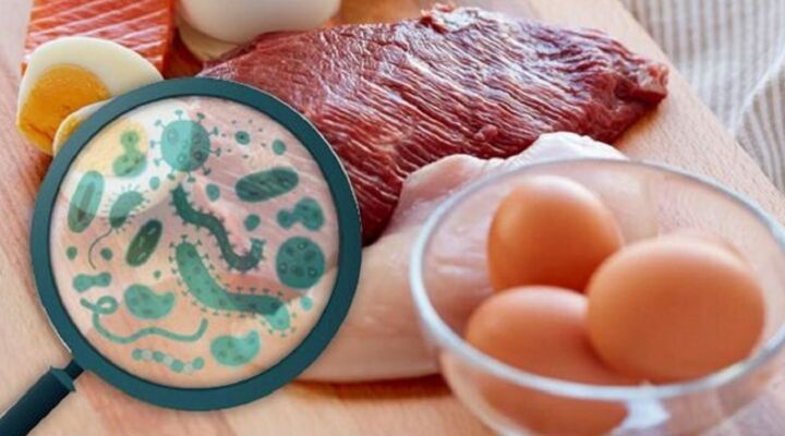 Головне про сальмонельоз детская больница запорожье КНП «Міська дитяча лікарня №5» ЗМР – це єдина у місті Запоріжжі багатопрофільна дитяча лікарня, де сконцентровано всі види надання спеціалізованої медичної допомоги дитячому населенню: стаціонарної, консультативної амбулаторно-поліклінічної та виїзної для інтенсивної терапії новонародженим.