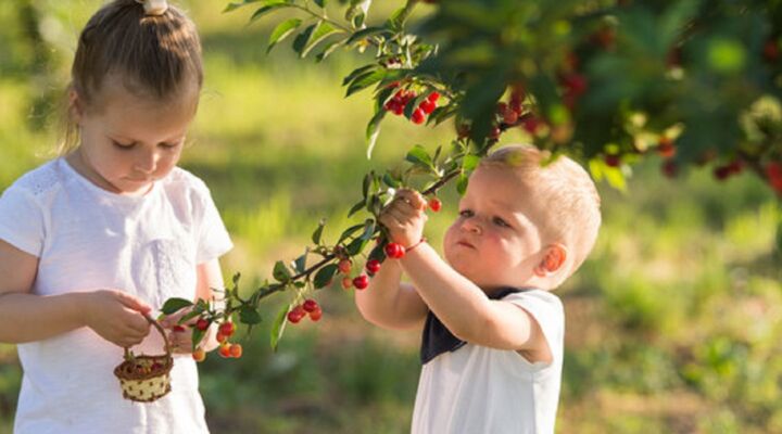 Як вберегтися від гострих кишкових інфекцій влітку детская больница запорожье КНП «Міська дитяча лікарня №5» ЗМР – це єдина у місті Запоріжжі багатопрофільна дитяча лікарня, де сконцентровано всі види надання спеціалізованої медичної допомоги дитячому населенню: стаціонарної, консультативної амбулаторно-поліклінічної та виїзної для інтенсивної терапії новонародженим.