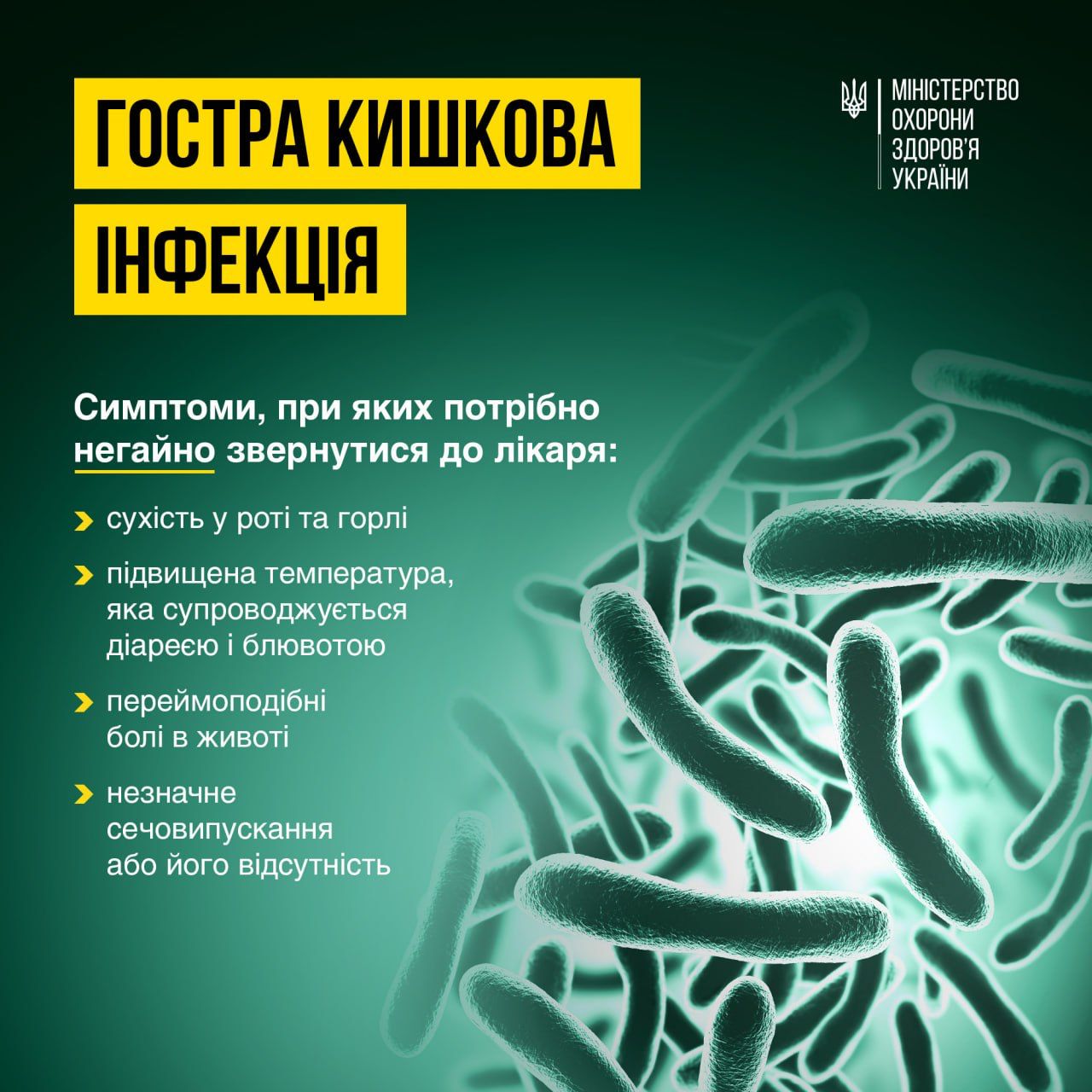 Як вберегтися від гострих кишкових інфекцій влітку детская больница запорожье КНП «Міська дитяча лікарня №5» ЗМР – це єдина у місті Запоріжжі багатопрофільна дитяча лікарня, де сконцентровано всі види надання спеціалізованої медичної допомоги дитячому населенню: стаціонарної, консультативної амбулаторно-поліклінічної та виїзної для інтенсивної терапії новонародженим.