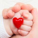 Як зберегти серце та судини дитини здоровими? детская больница запорожье КНП «Міська дитяча лікарня №5» ЗМР – це єдина у місті Запоріжжі багатопрофільна дитяча лікарня, де сконцентровано всі види надання спеціалізованої медичної допомоги дитячому населенню: стаціонарної, консультативної амбулаторно-поліклінічної та виїзної для інтенсивної терапії новонародженим.